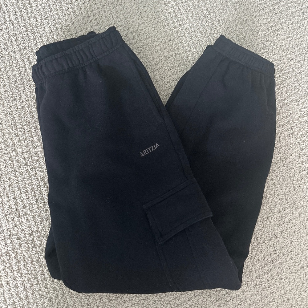 Aritzia Sweatfleece Cargo Sweatpants (Cuffed)